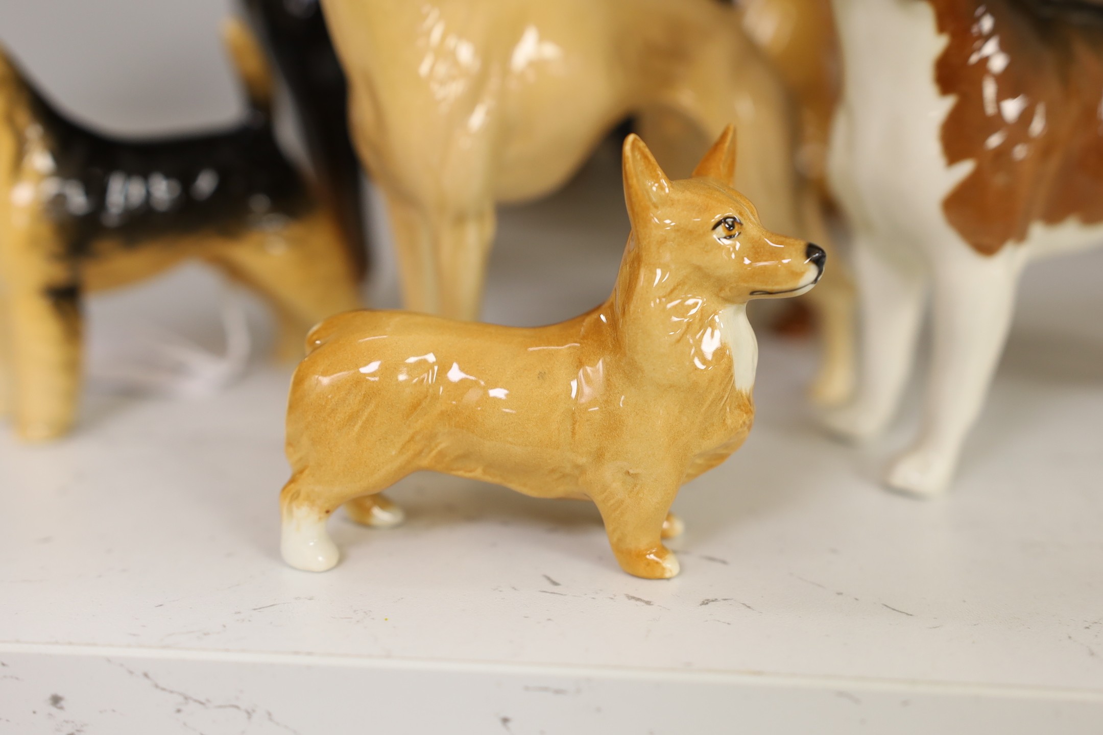 A selection of Beswick dogs, to include a Corgi, Daschund, Lurcher, Beagle, Doberman, Fox Terrier, Lochinvar of Ladypark, together with a Beswick cat (9)